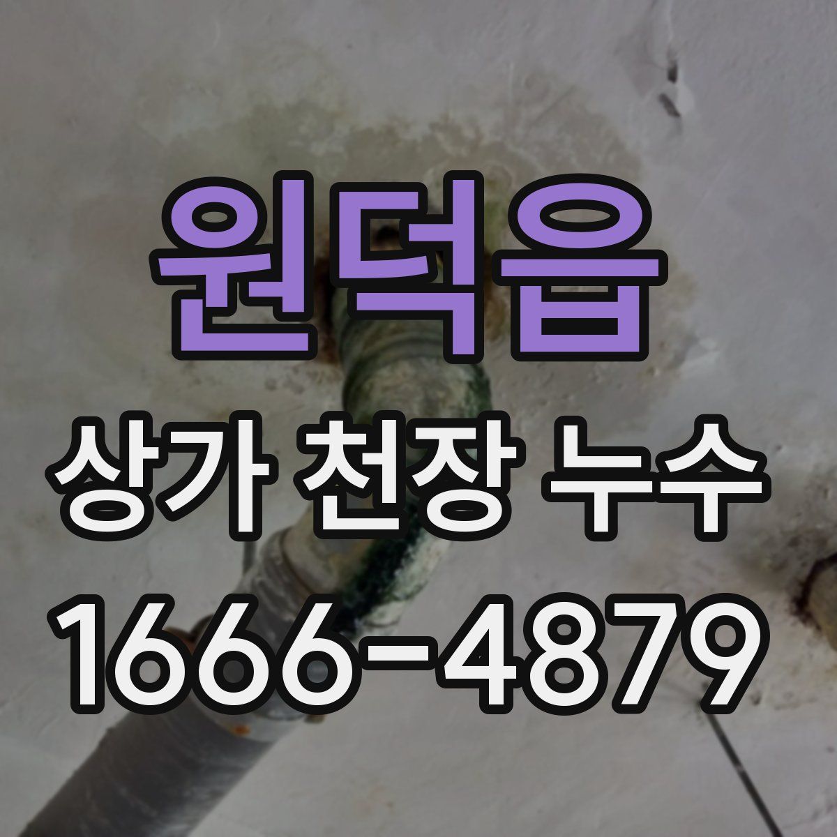 원덕읍 상가 천장 누수
