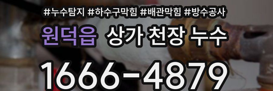 원덕읍 상가 천장 누수