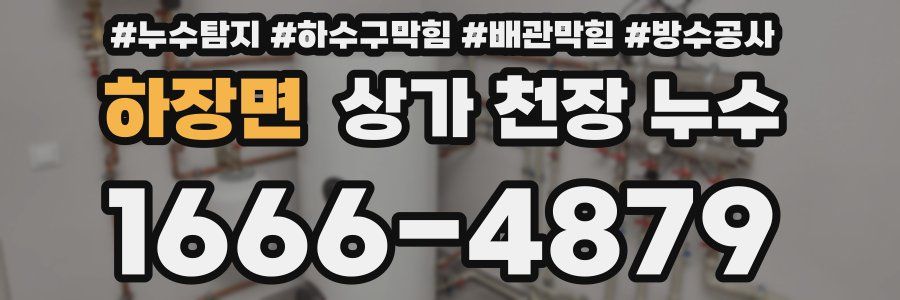 하장면 상가 천장 누수