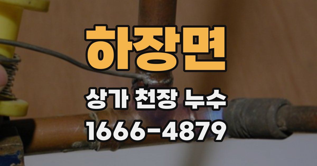 하장면 상가 천장 누수
