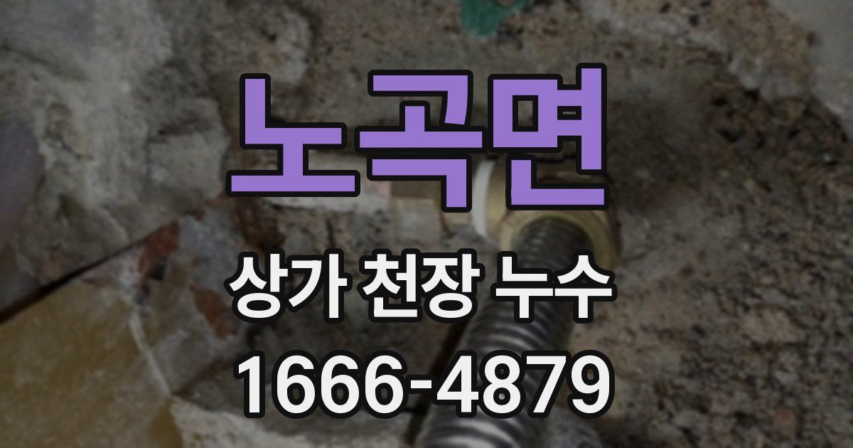 노곡면 상가 천장 누수