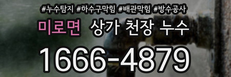 미로면 상가 천장 누수
