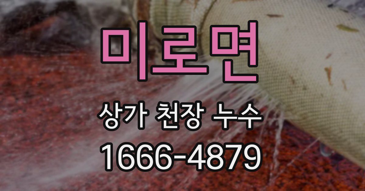 미로면 상가 천장 누수