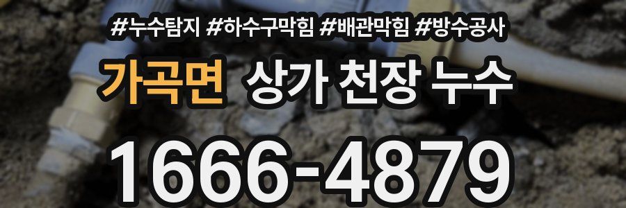 가곡면 상가 천장 누수