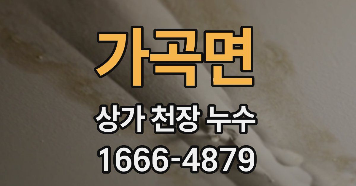 가곡면 상가 천장 누수