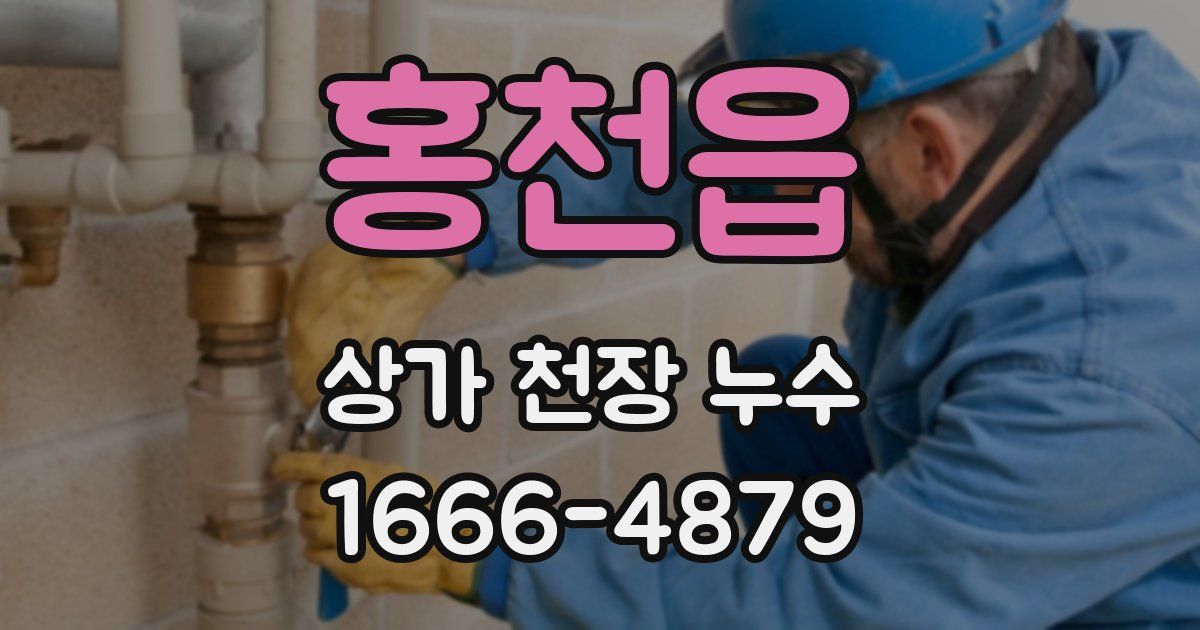 홍천읍 상가 천장 누수