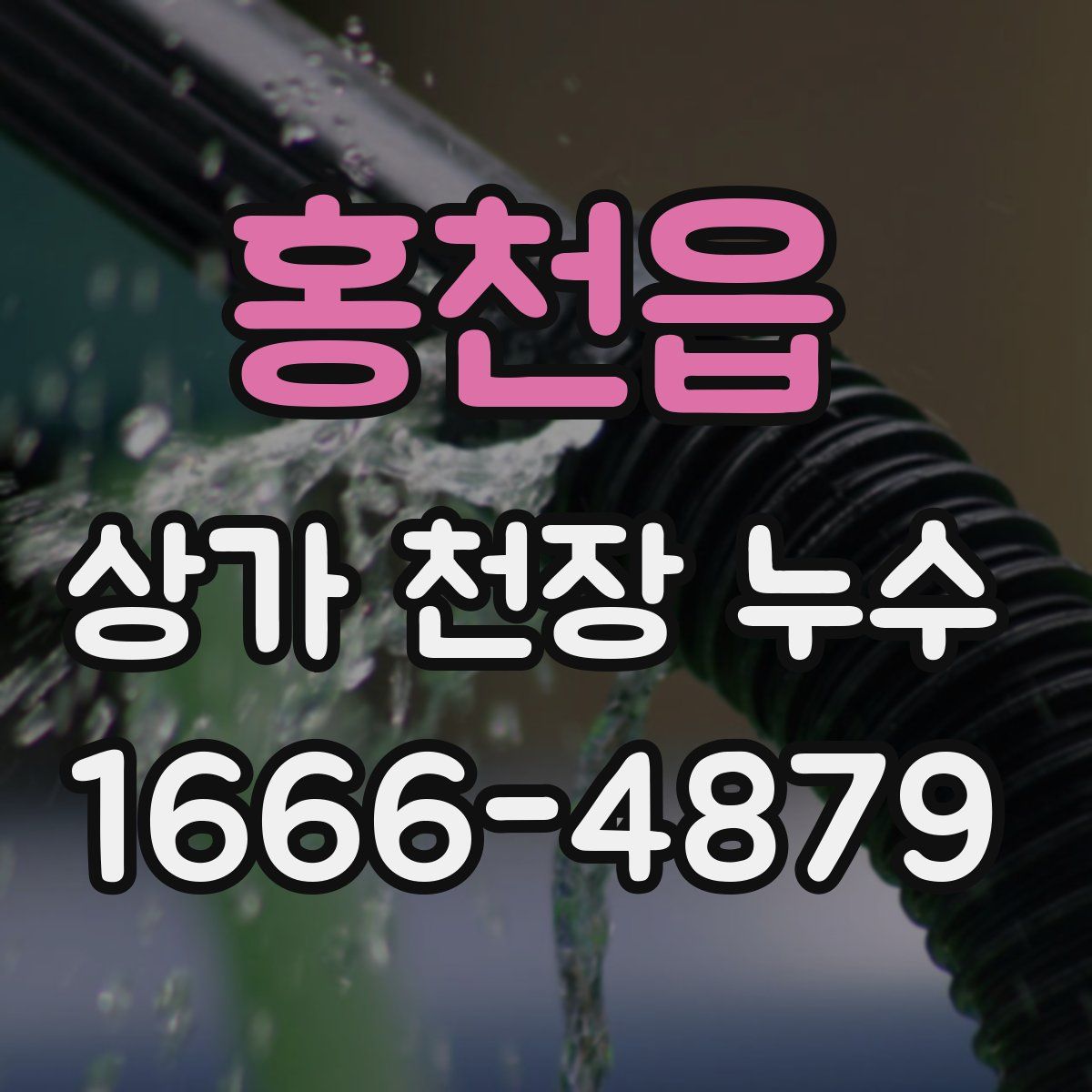 홍천읍 상가 천장 누수