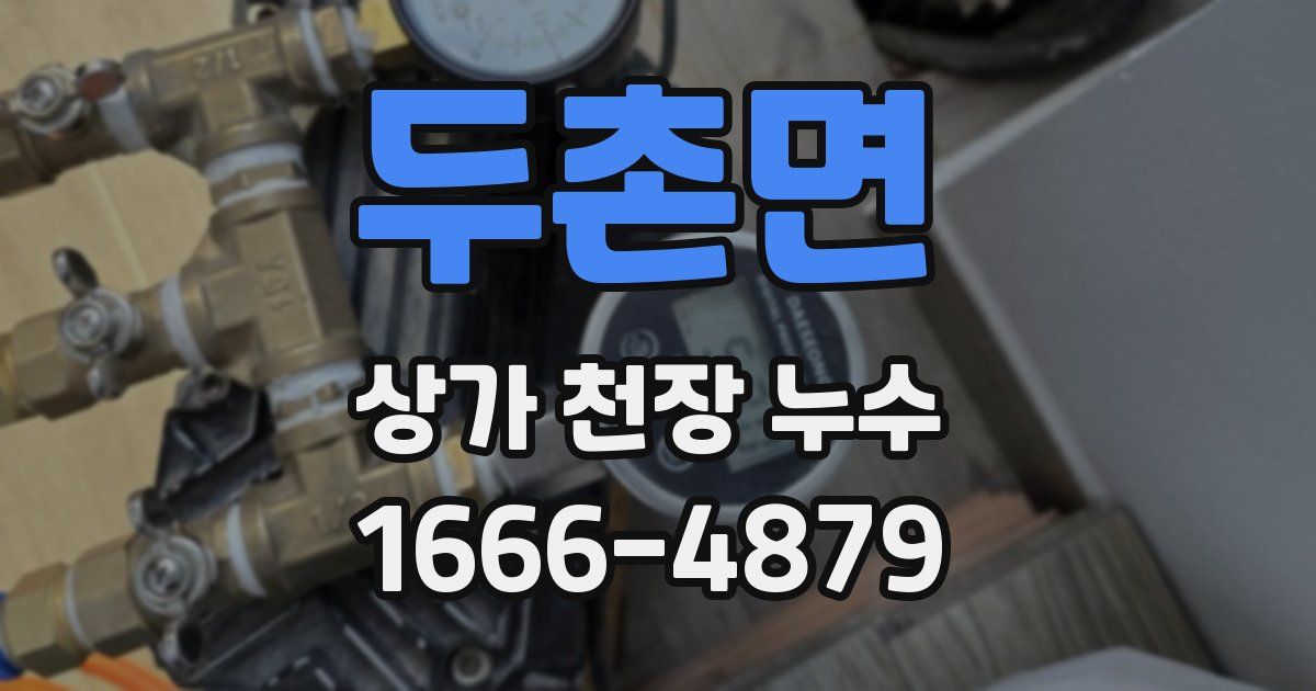 두촌면 상가 천장 누수