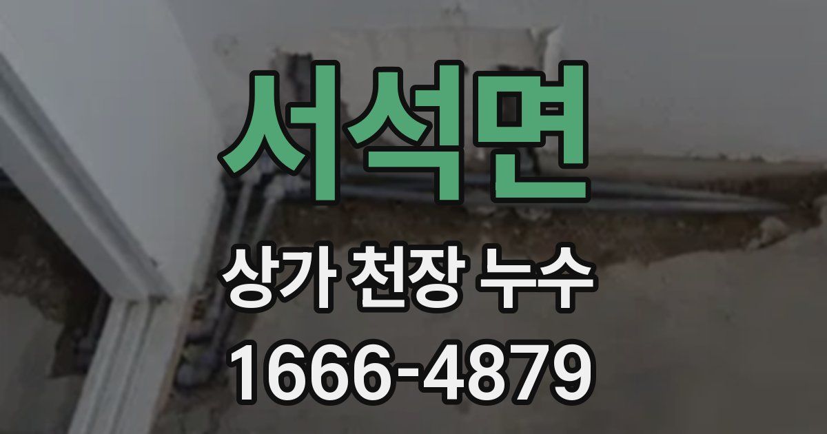 서석면 상가 천장 누수
