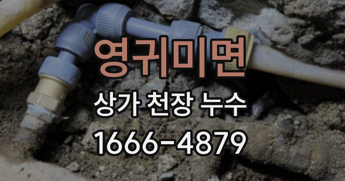 영귀미면 상가 천장 누수
