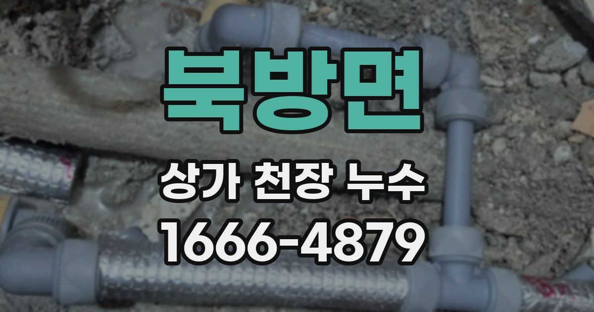 북방면 상가 천장 누수