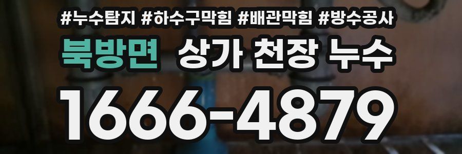 북방면 상가 천장 누수