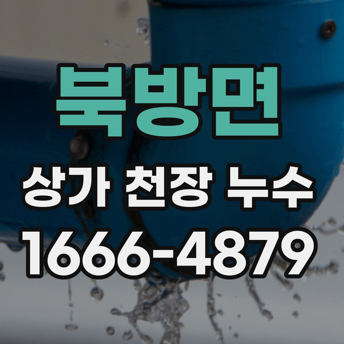 북방면 상가 천장 누수
