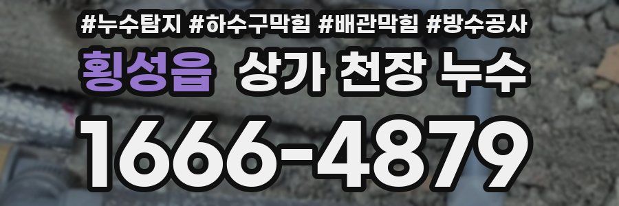 횡성읍 상가 천장 누수