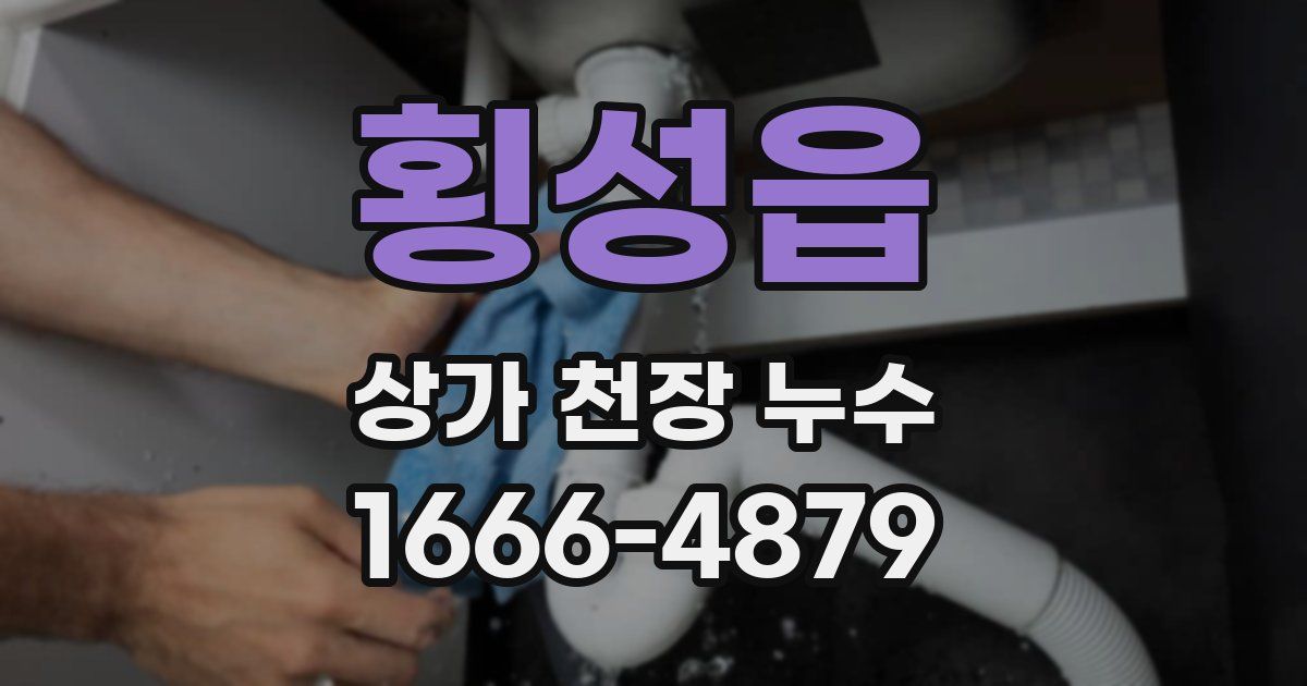 횡성읍 상가 천장 누수