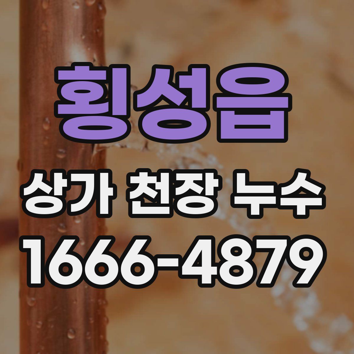 횡성읍 상가 천장 누수