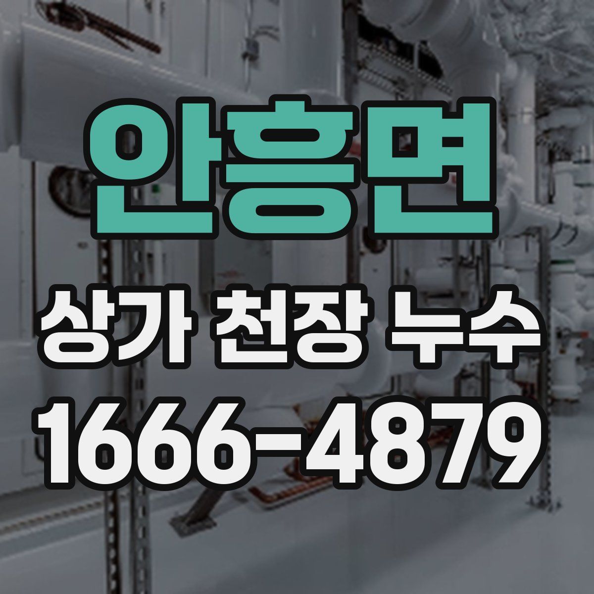 안흥면 상가 천장 누수