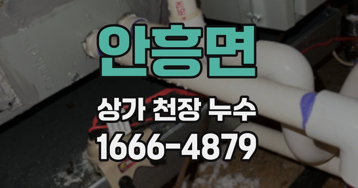 안흥면 상가 천장 누수