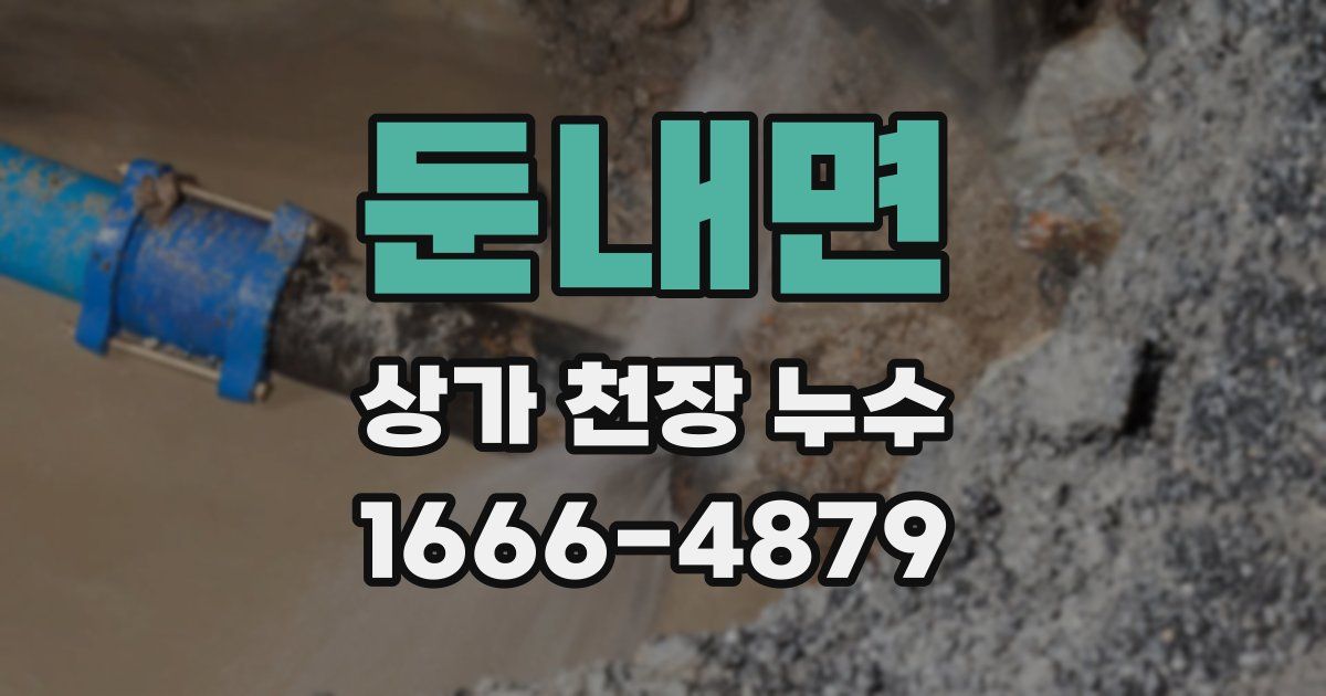 둔내면 상가 천장 누수