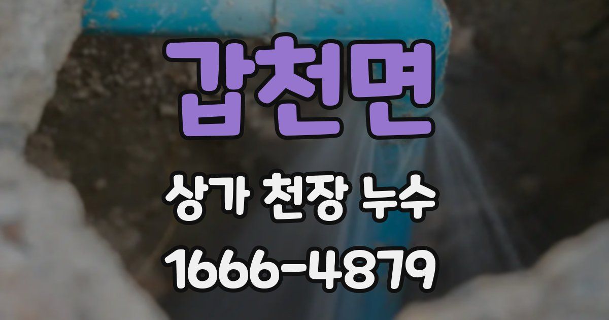 갑천면 상가 천장 누수