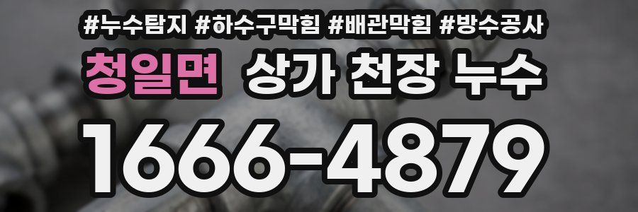 청일면 상가 천장 누수