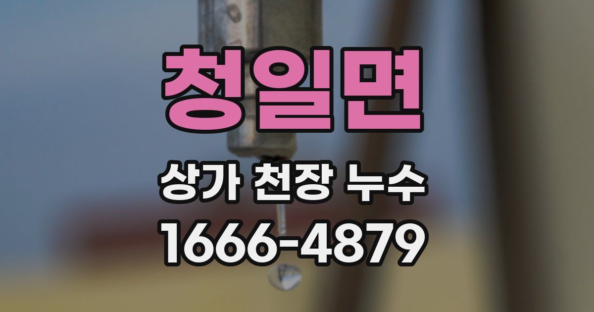 청일면 상가 천장 누수