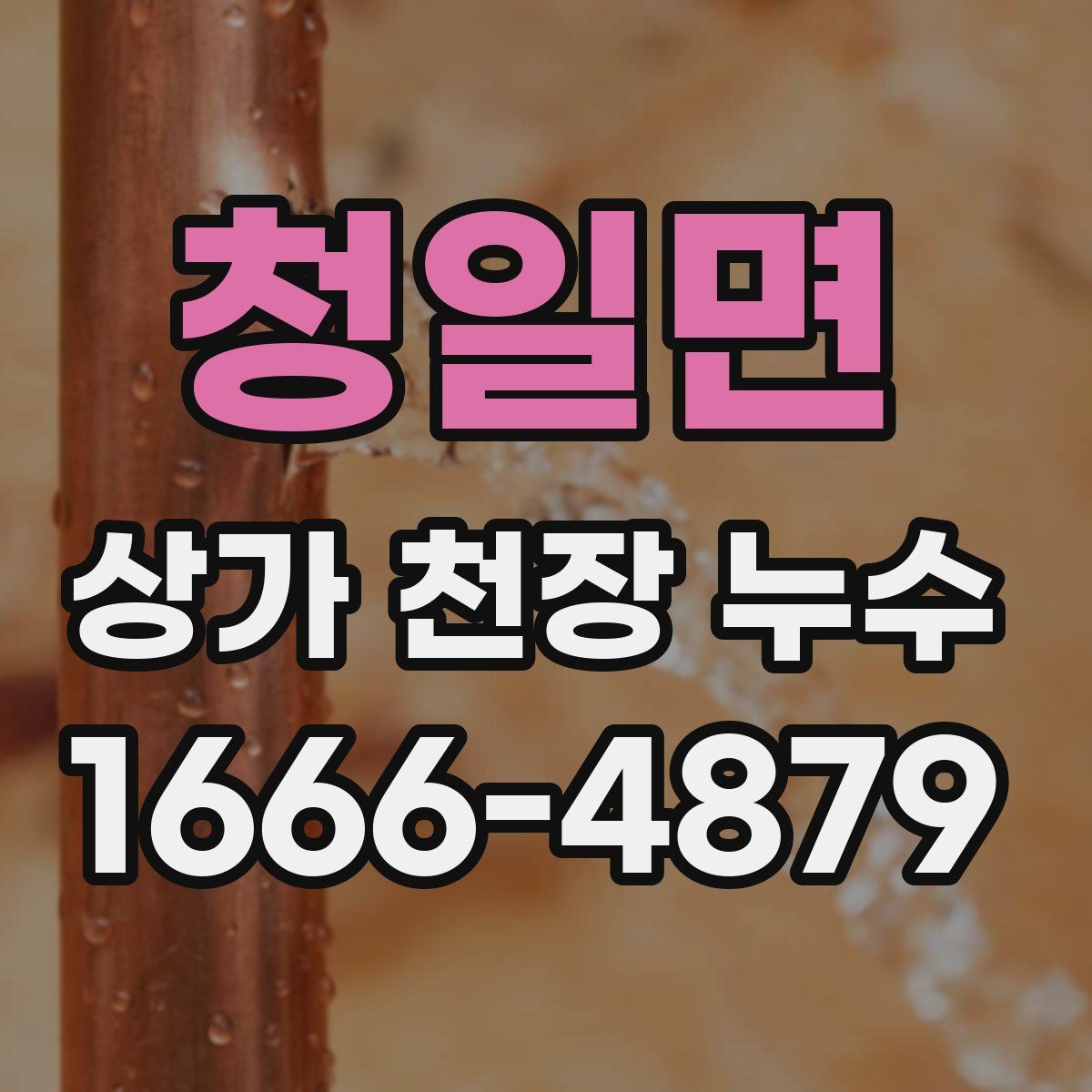 청일면 상가 천장 누수