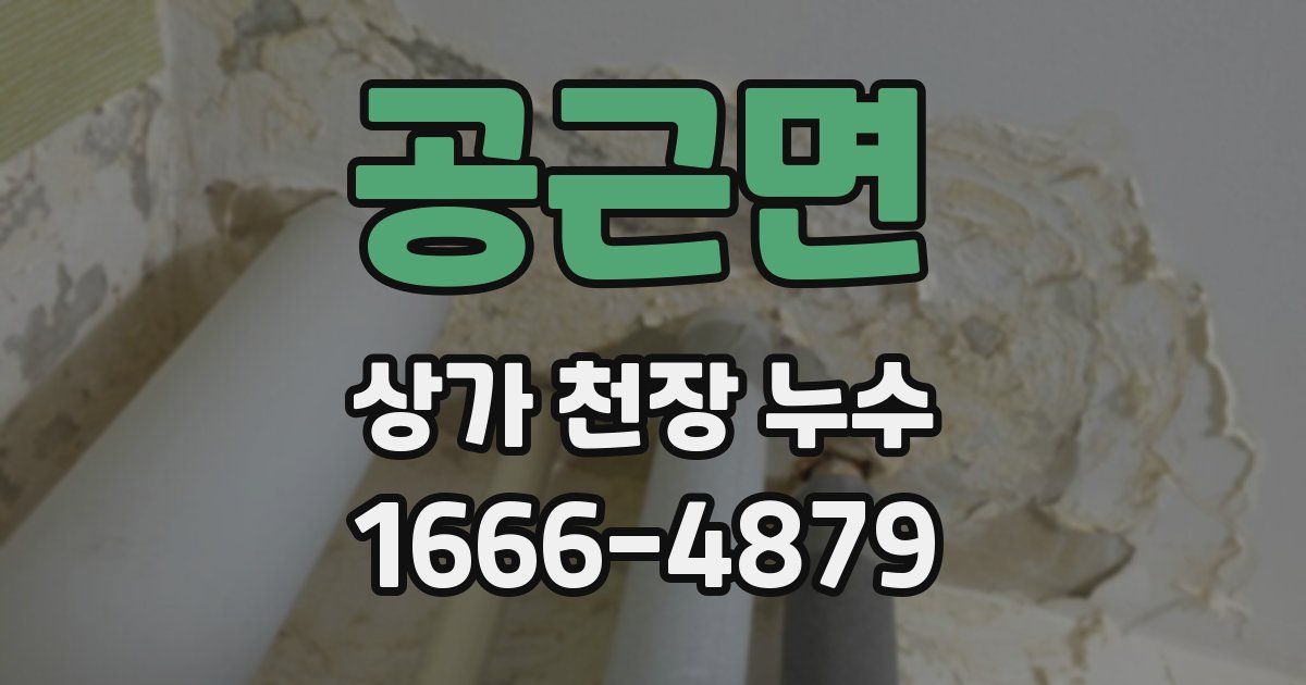공근면 상가 천장 누수