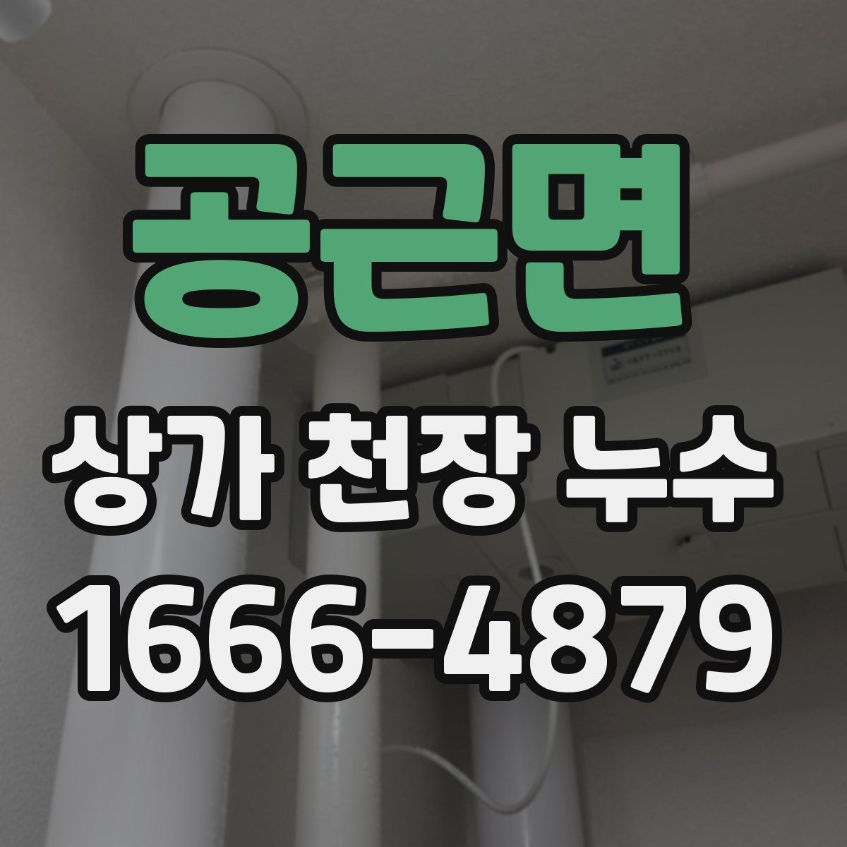 공근면 상가 천장 누수