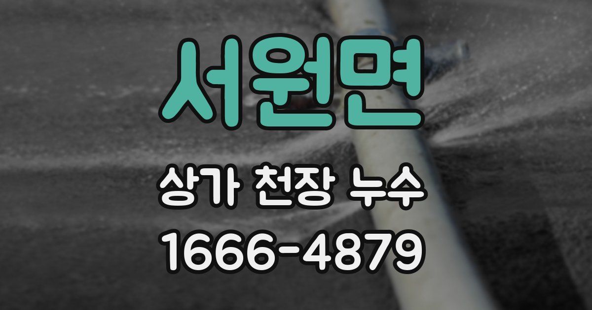 서원면 상가 천장 누수