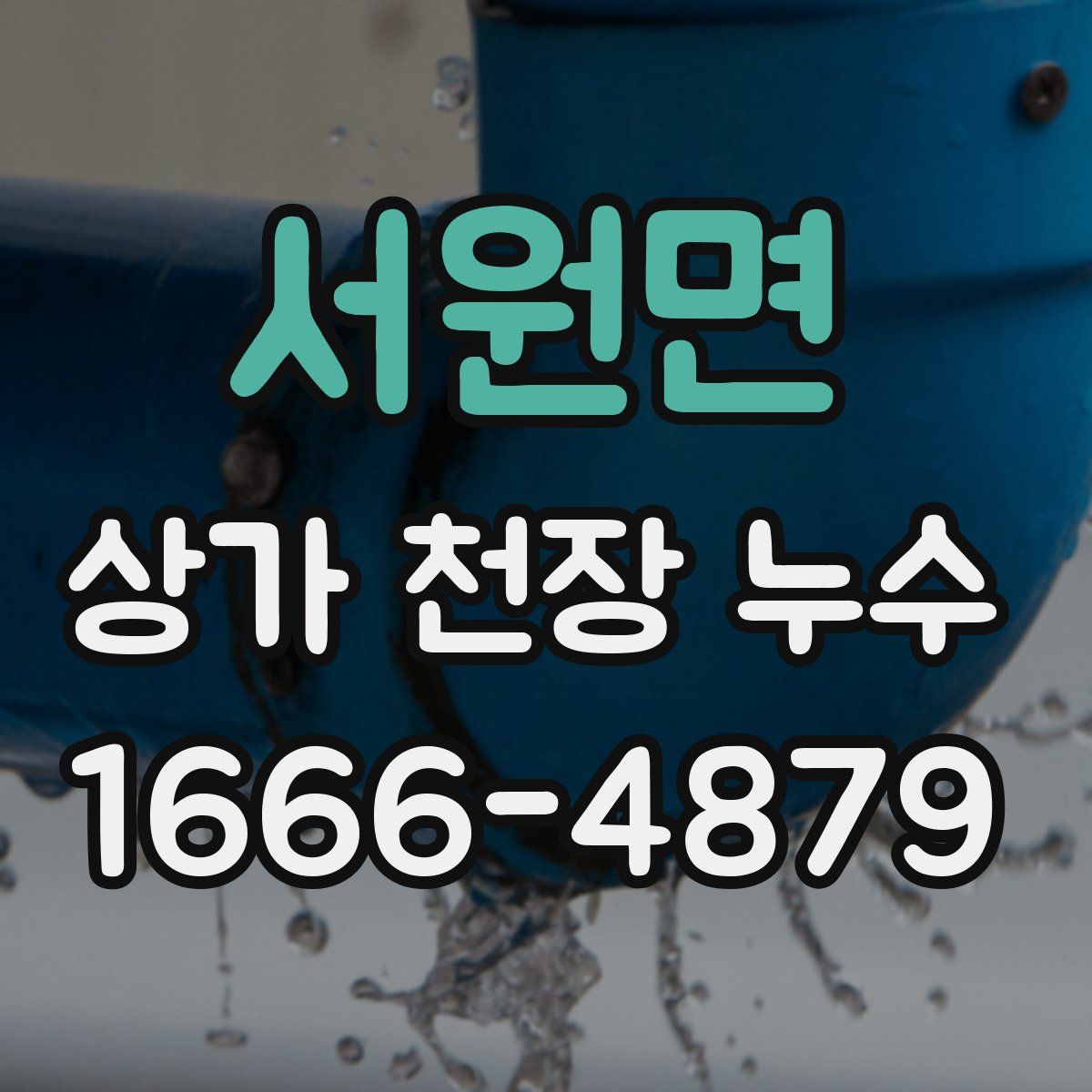 서원면 상가 천장 누수