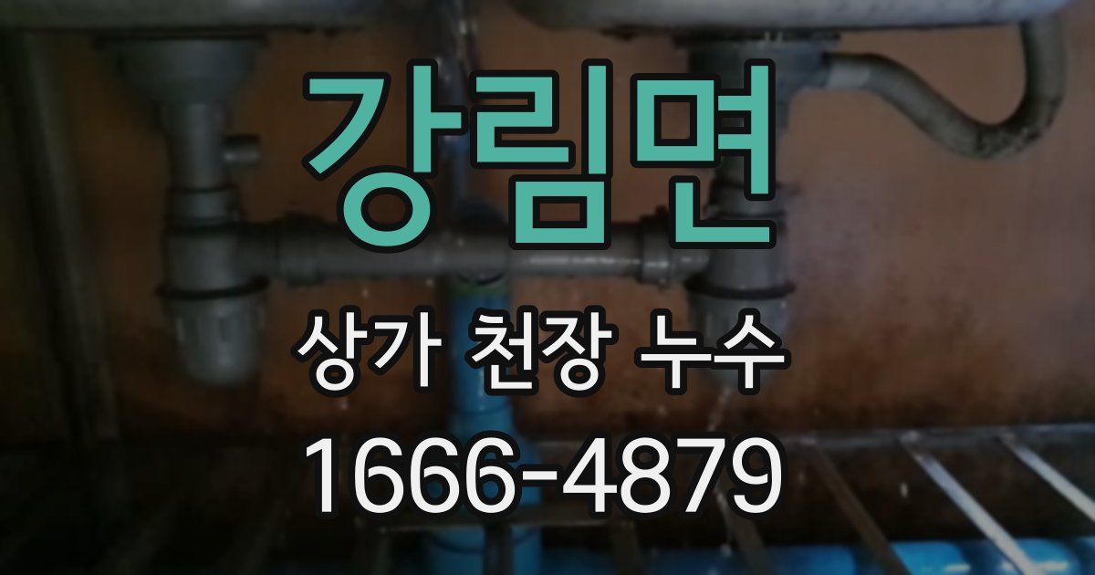 강림면 상가 천장 누수