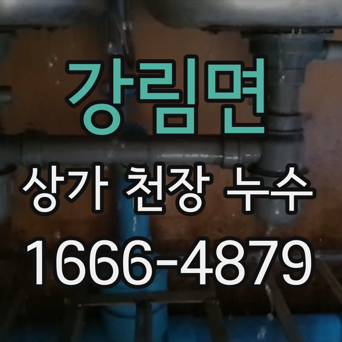 강림면 상가 천장 누수