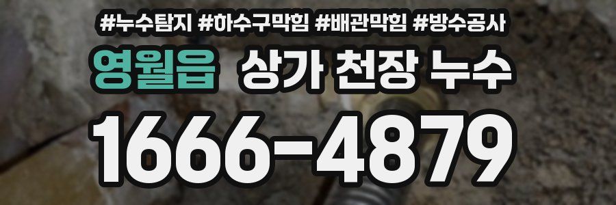 영월읍 상가 천장 누수
