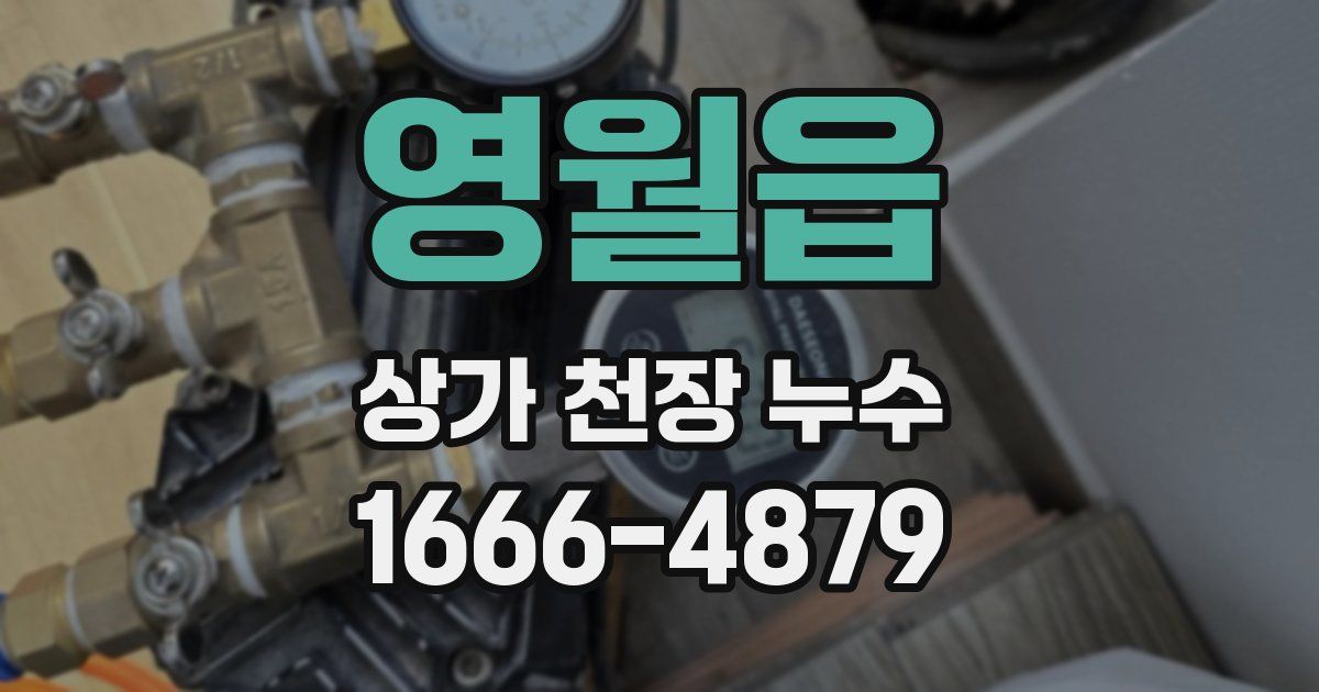 영월읍 상가 천장 누수