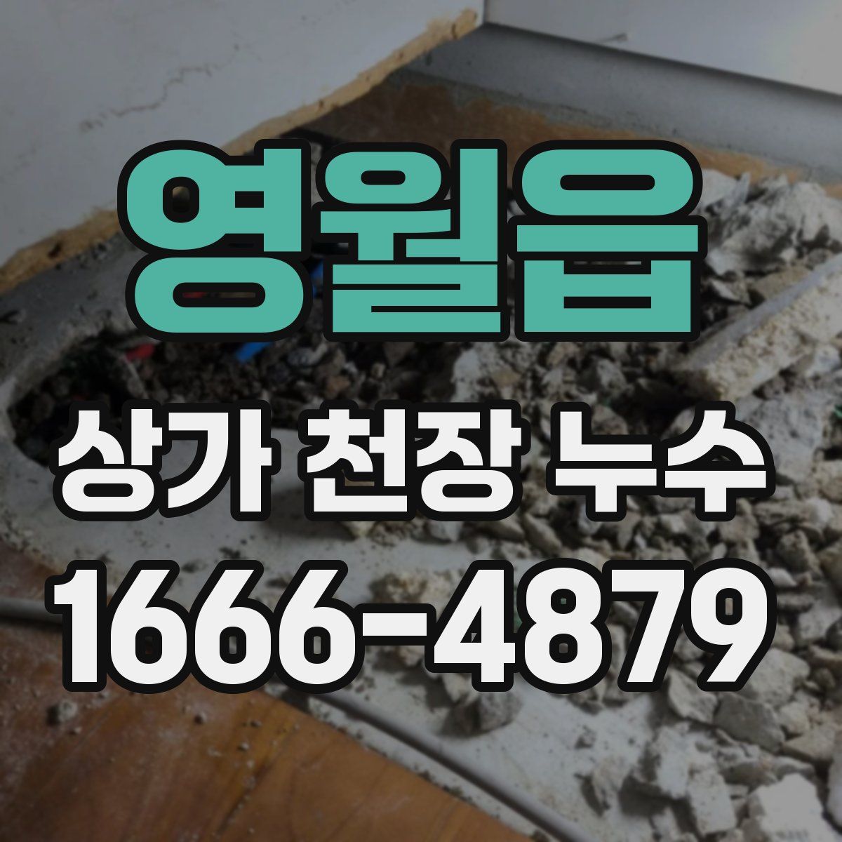 영월읍 상가 천장 누수