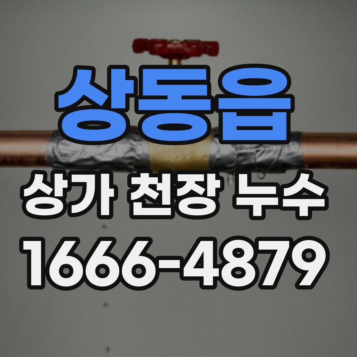 상동읍 상가 천장 누수