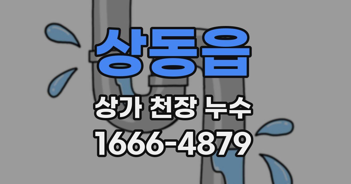 상동읍 상가 천장 누수