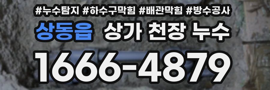 상동읍 상가 천장 누수