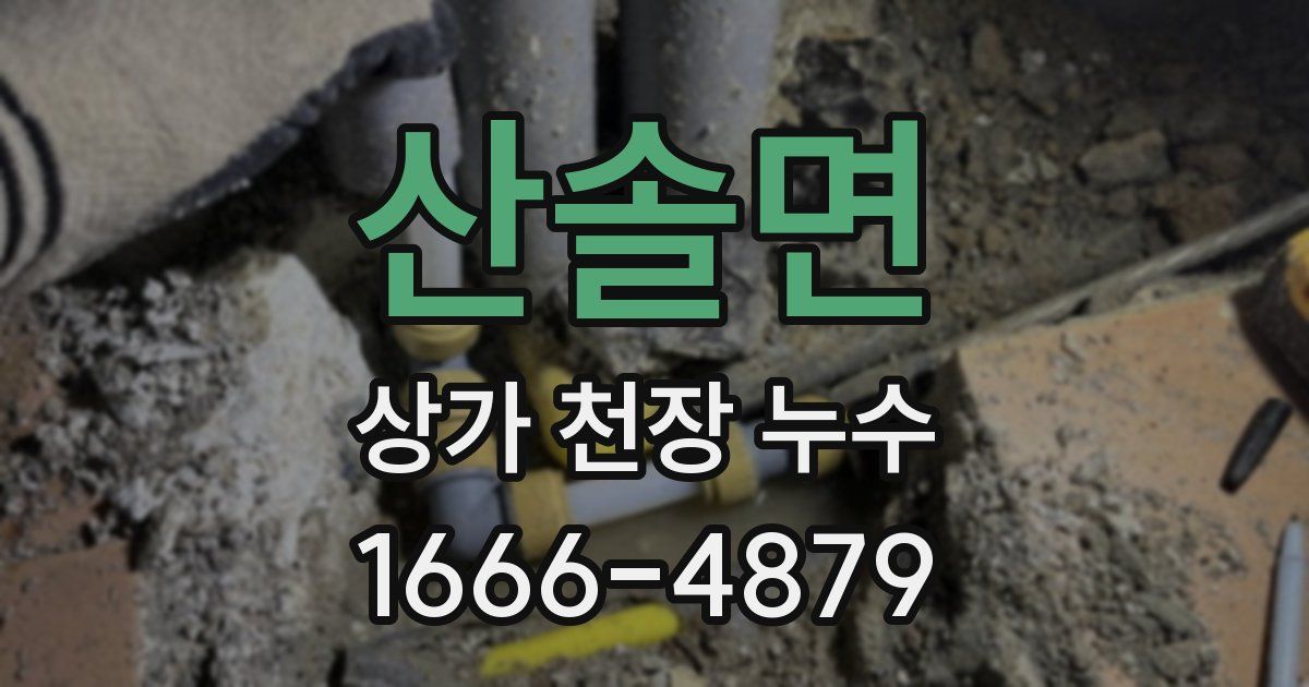 산솔면 상가 천장 누수