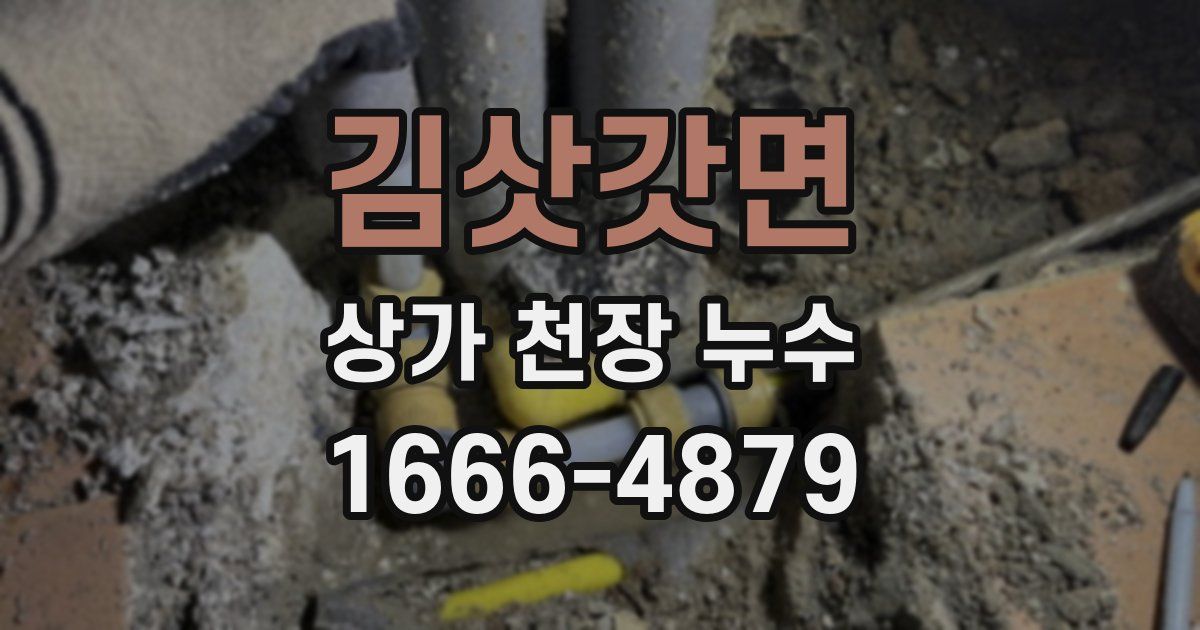 김삿갓면 상가 천장 누수