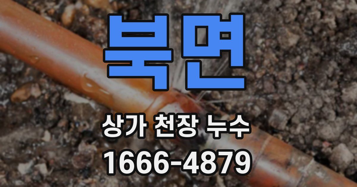 북면 상가 천장 누수