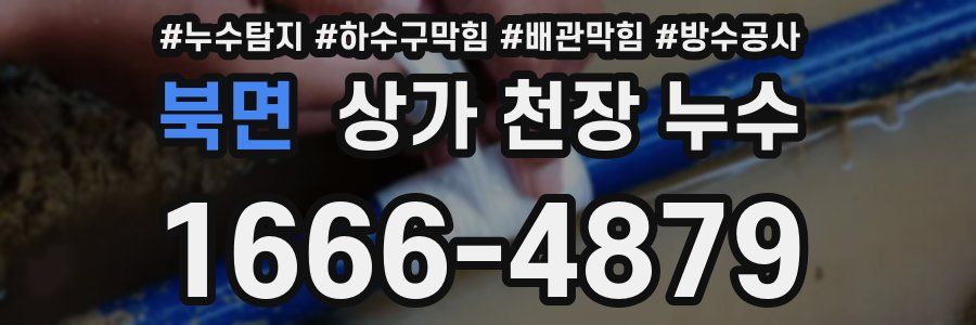북면 상가 천장 누수