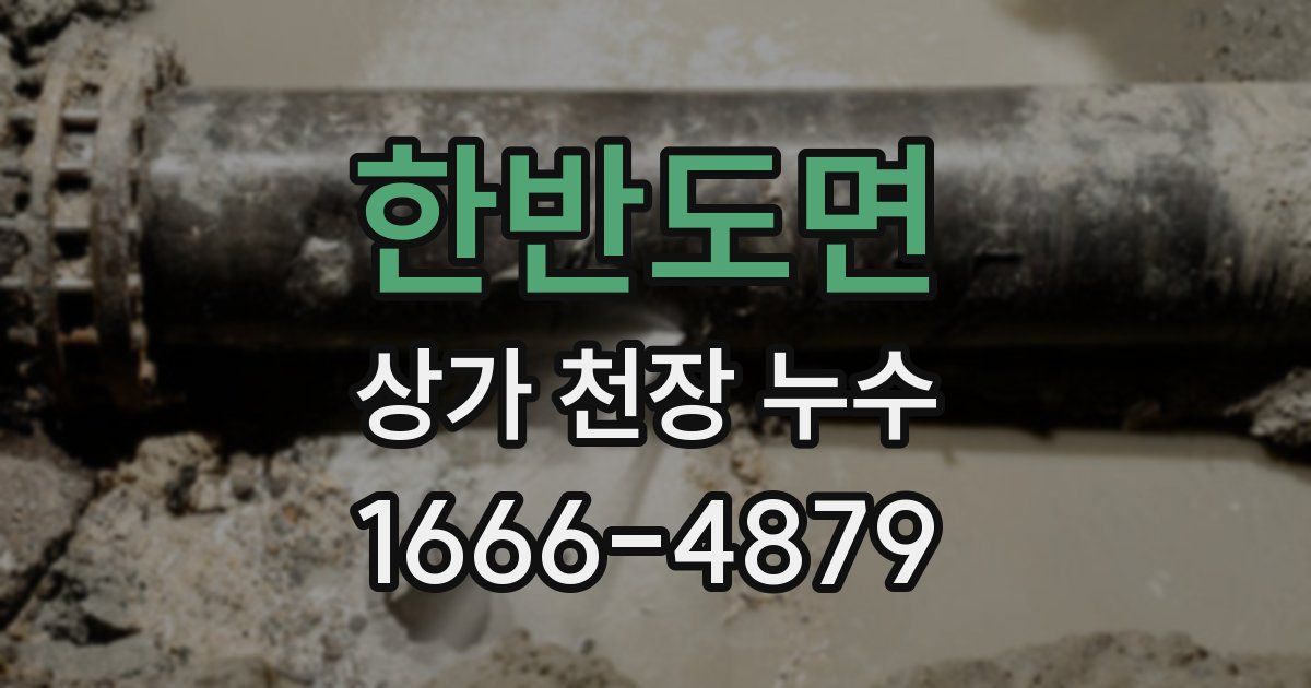 한반도면 상가 천장 누수