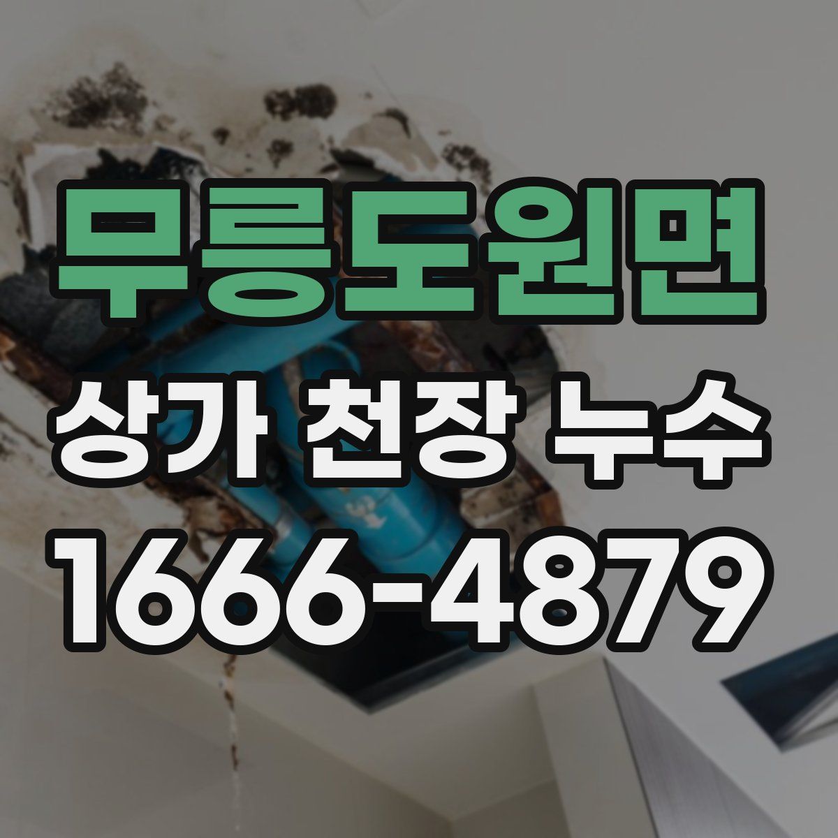무릉도원면 상가 천장 누수