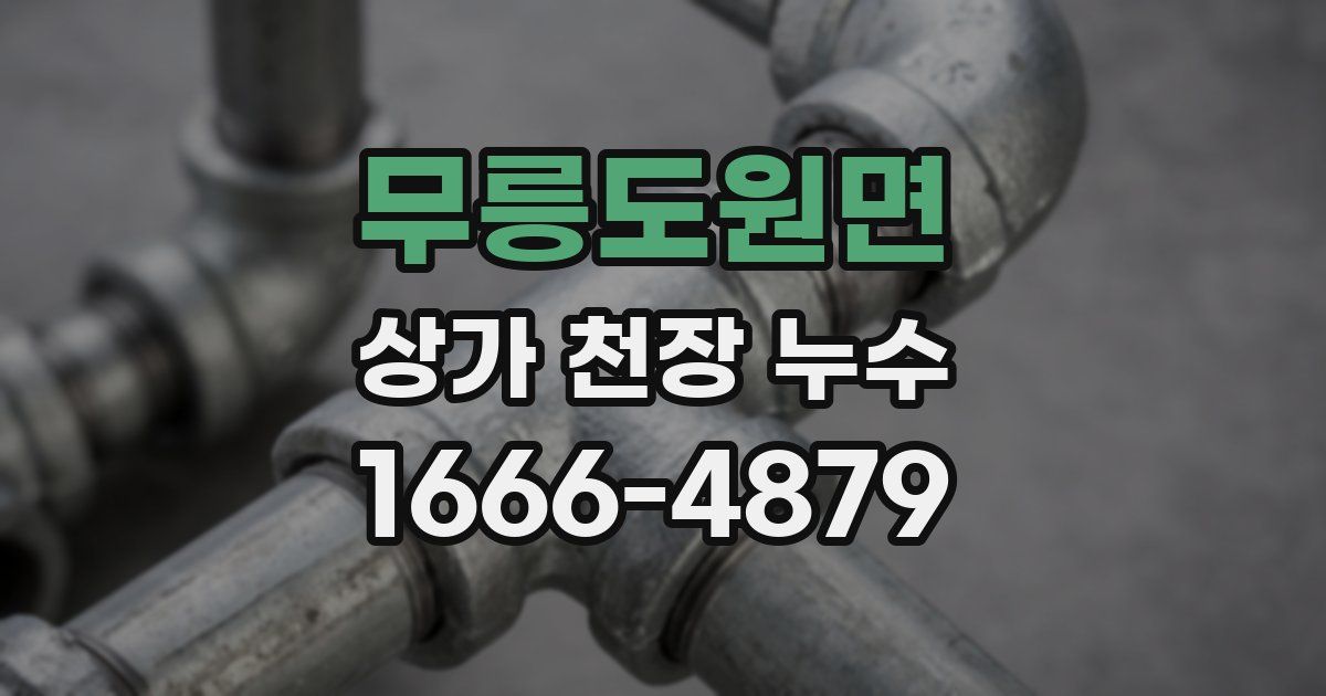 무릉도원면 상가 천장 누수