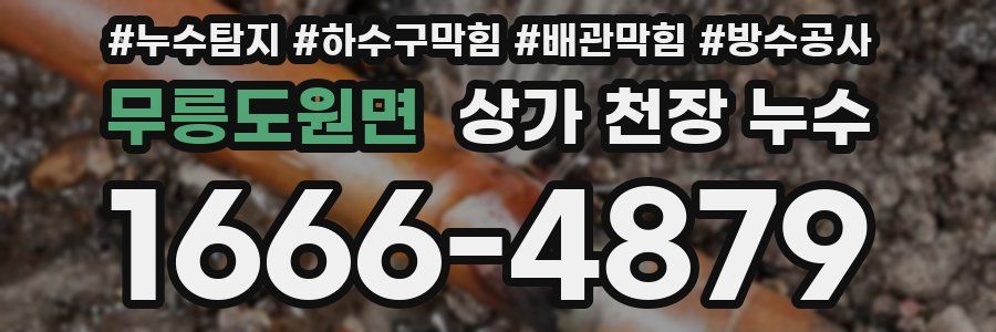 무릉도원면 상가 천장 누수