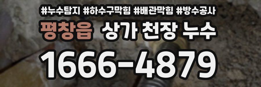 평창읍 상가 천장 누수