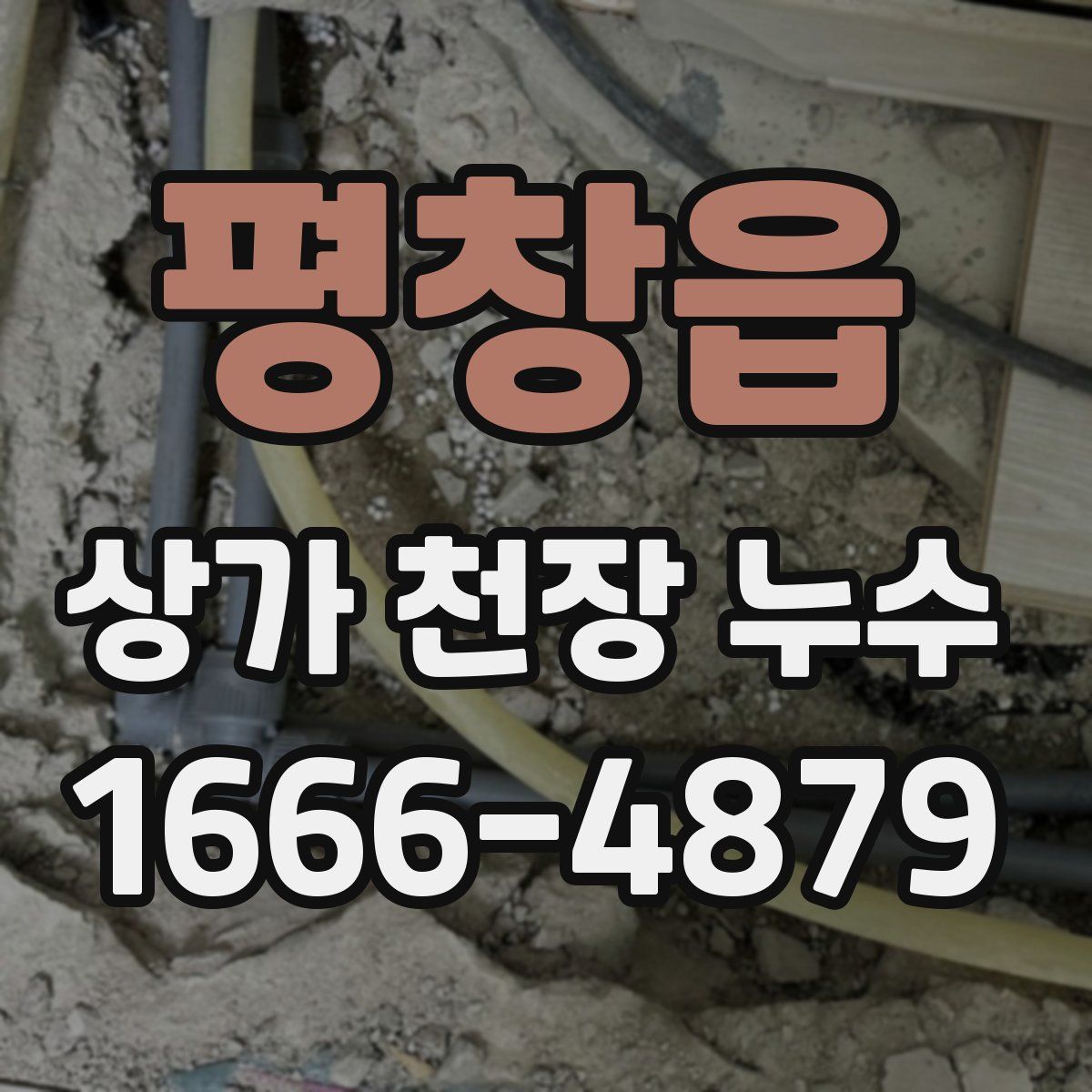 평창읍 상가 천장 누수