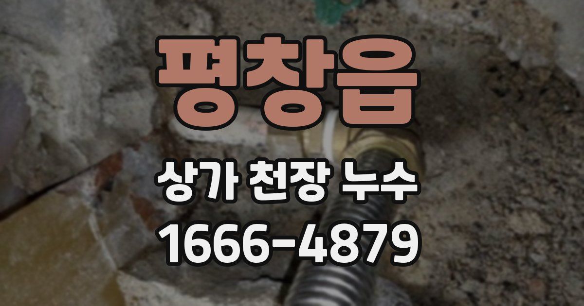 평창읍 상가 천장 누수
